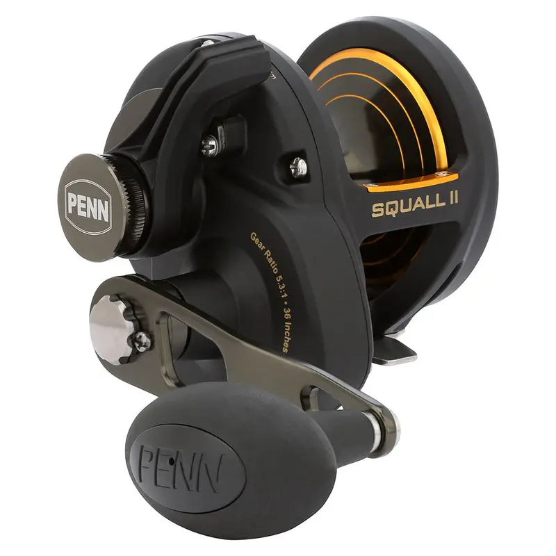 Penn Squall Ii 25Nld Lever Drag Conventional Reel – Compact Big-Game Capability 1